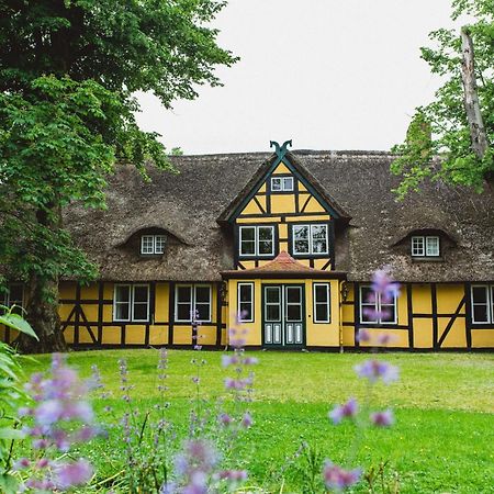 Herrenhaus Gut Dorotheenthal Damp Εξωτερικό φωτογραφία